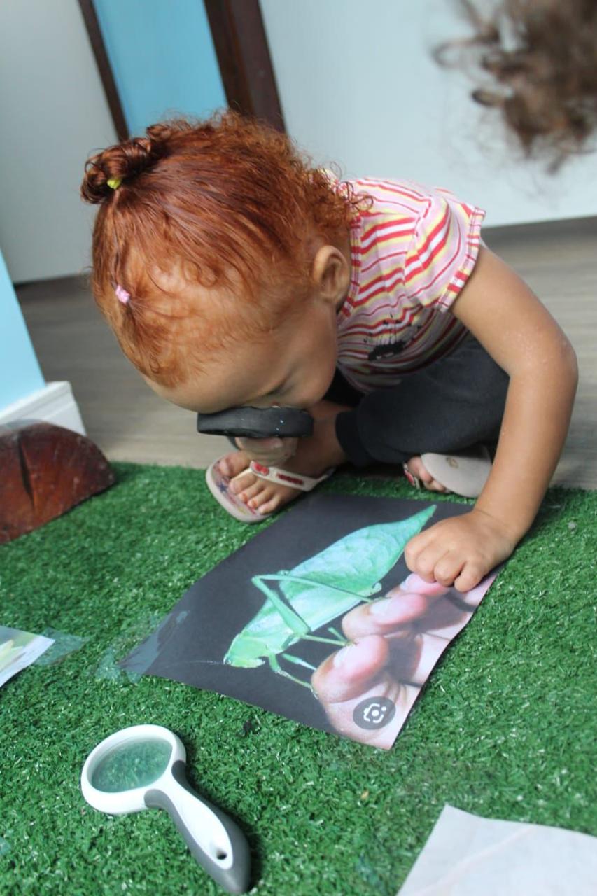 O encontro com o Grilo: uma experiência de encantamento e aprendizagem na Educação Infantil