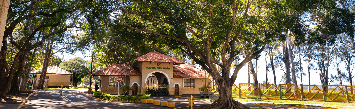 Câmara Municipal de Campo Grande aprova por unanimidade a criação da Medalha Irmã Silvia Vecellio