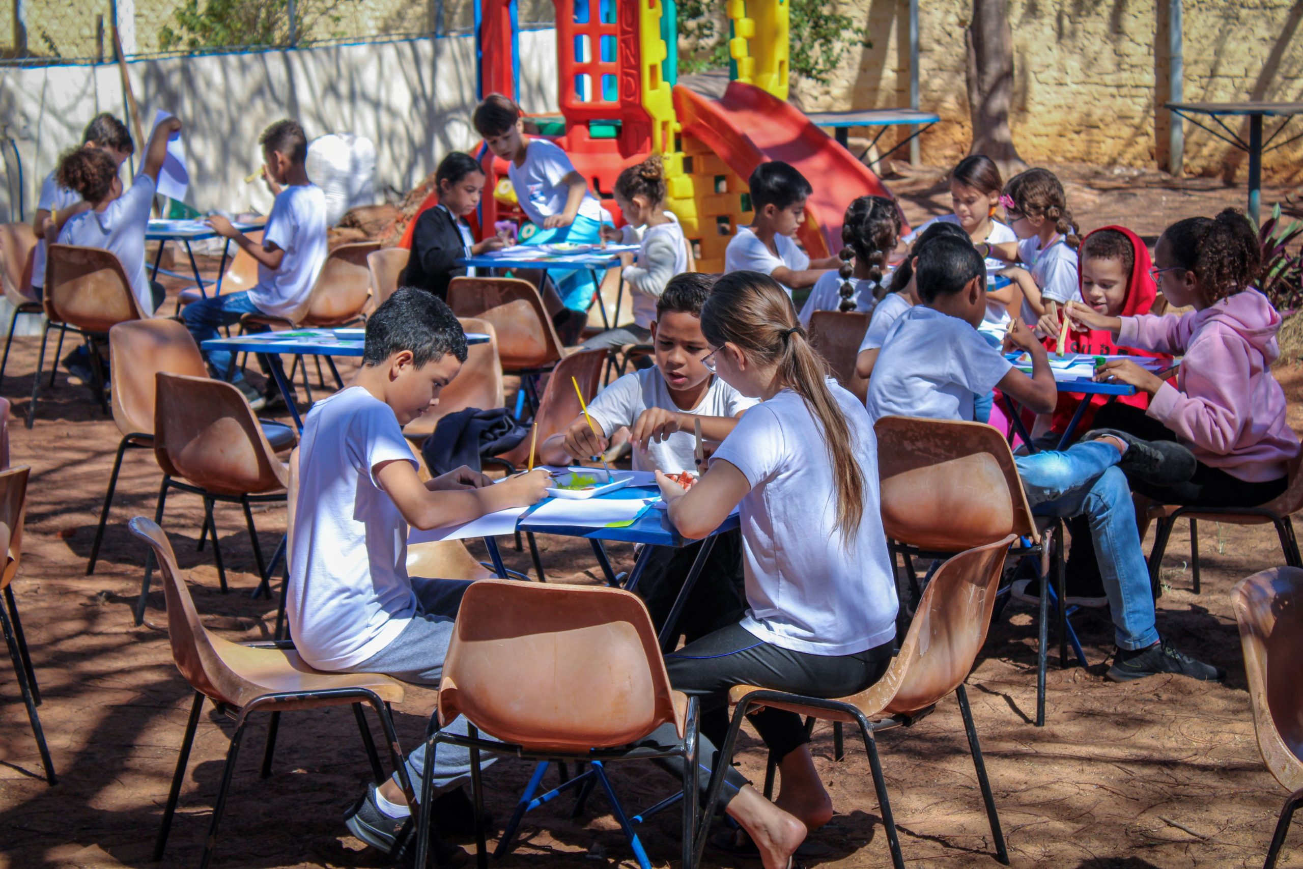 CEMIC celebra o Dia da Árvore com atividade especial: “Paz com a Criação”