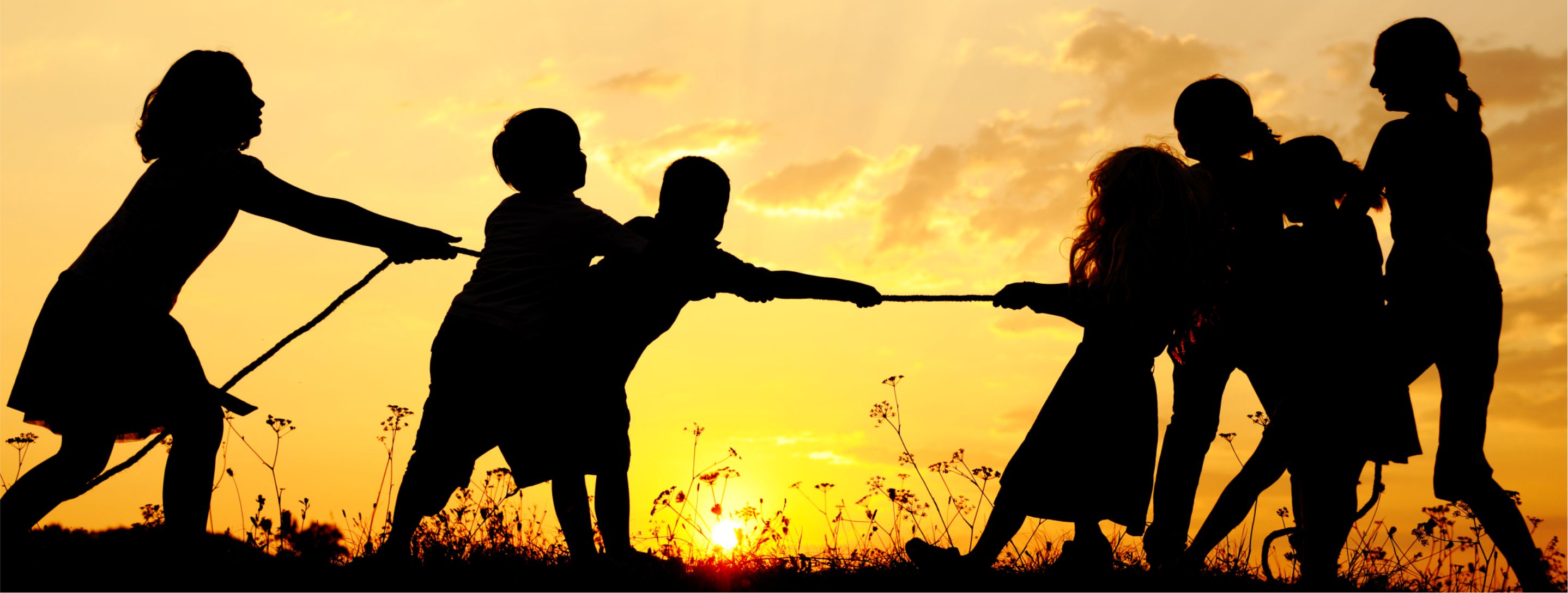 Regras de boa convivência