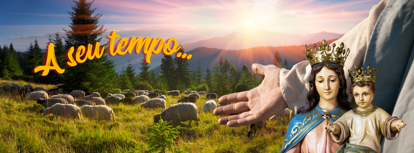 Um sonho para ser sonhado... em Rede!